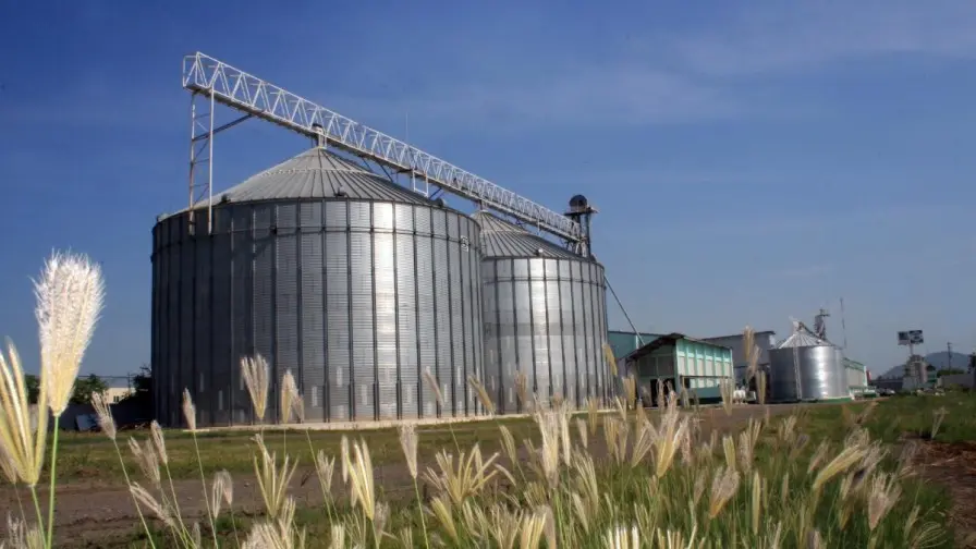 Encarpados Control de plagas Control de roedores Fumigaciones con fosfina Limpieza y desinfección AgroIndustrial